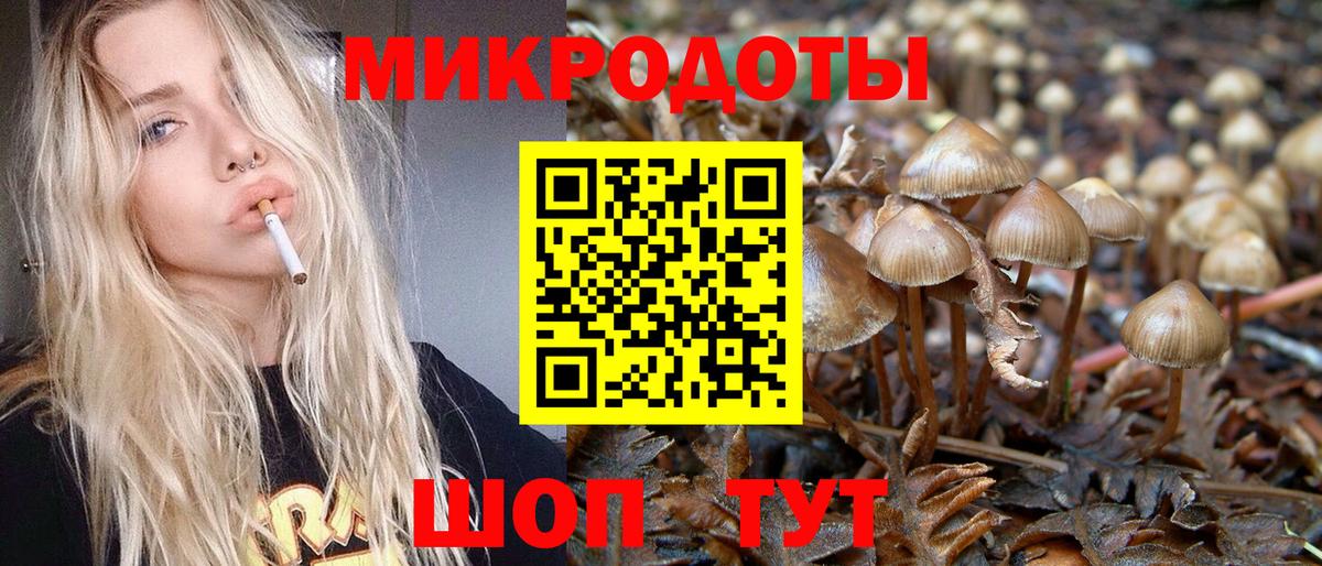 Псилоцибиновые грибы GOLDEN TEACHER Сухой Лог