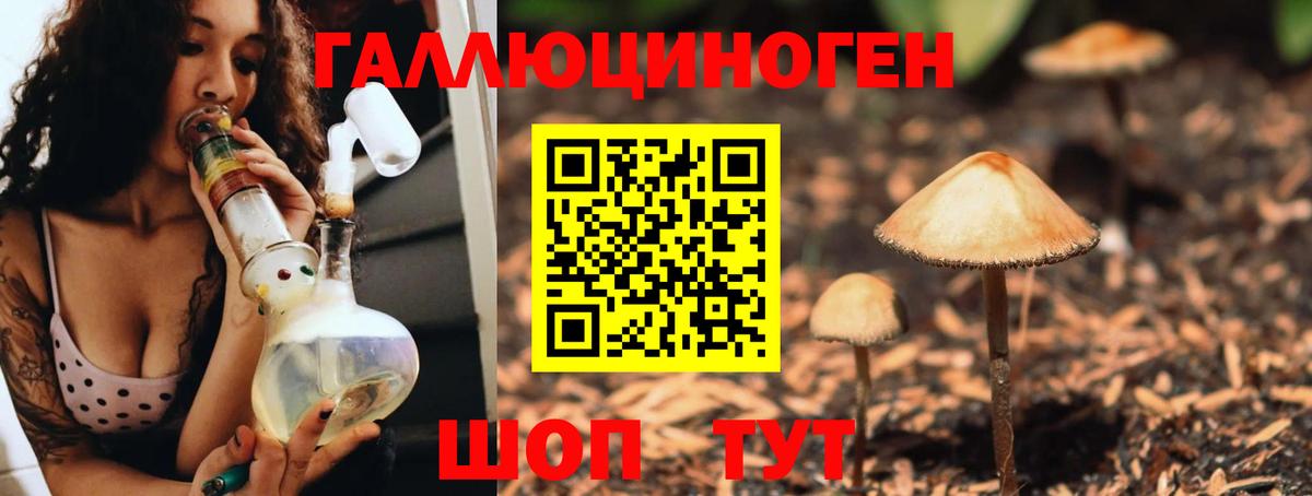 Сухой Лог  Галлюциногенные грибы Magic Shrooms  где продают   Вход с VPN 